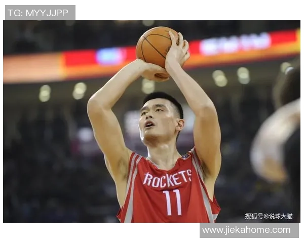 姚明2007年在搜狐的精彩瞬间与篮球生涯的辉煌回顾